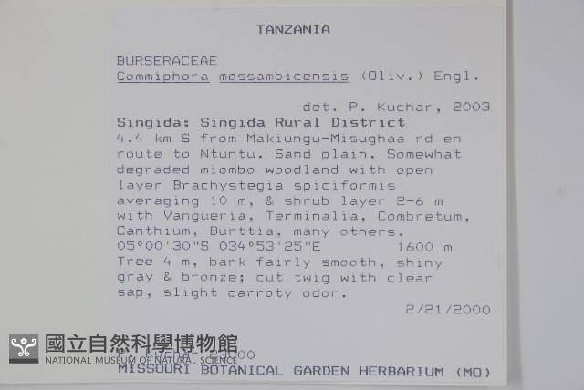 登錄號:S094279藏品圖，第2張