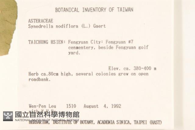 金腰箭藏品圖，第2張
