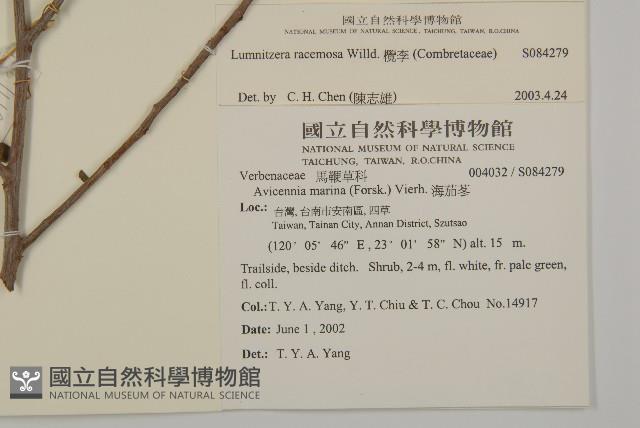 欖李藏品圖，第5張