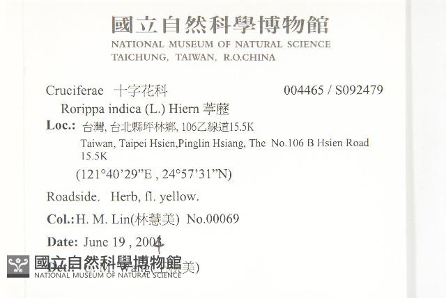 葶藶藏品圖，第2張