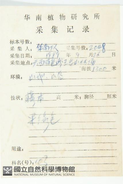 馬交兒藏品圖，第2張