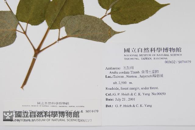 登錄號:S074479藏品圖，第2張