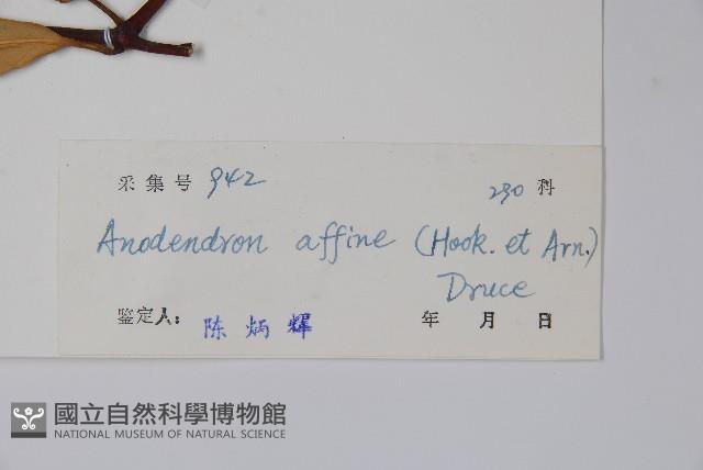 小錦蘭藏品圖，第2張