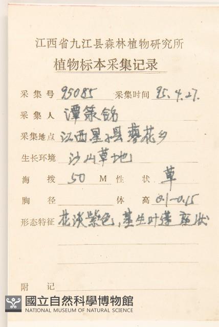 父子草、天青地白藏品圖，第2張