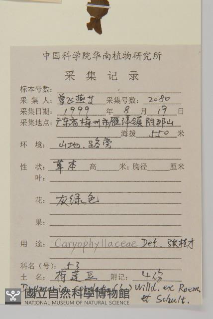 登錄號:S083179藏品圖，第2張