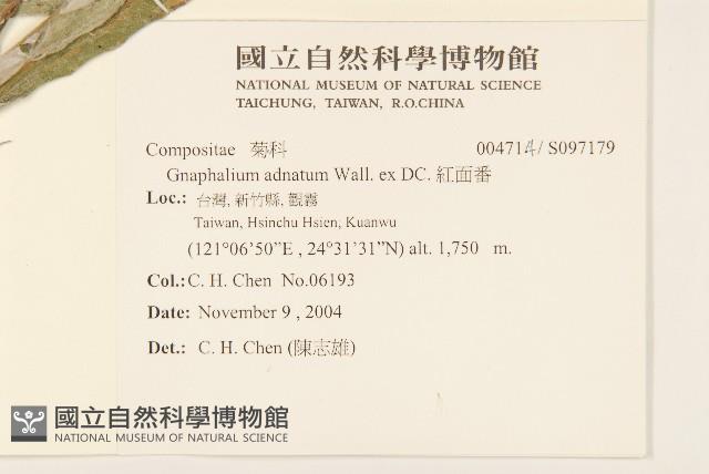 紅面番藏品圖，第2張