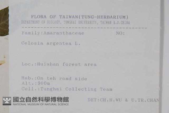 青葙藏品圖，第2張