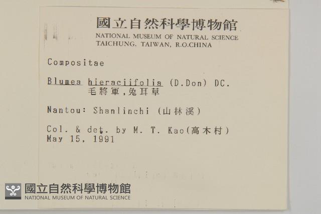 毛將軍藏品圖，第2張