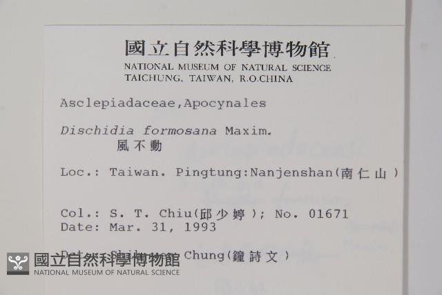 風不動藏品圖，第2張