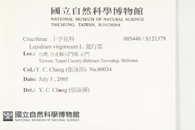 獨行菜藏品圖，第2張