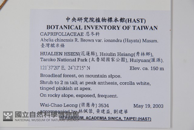 臺灣糯米條藏品圖，第2張