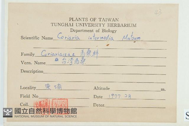 臺灣馬桑藏品圖，第2張