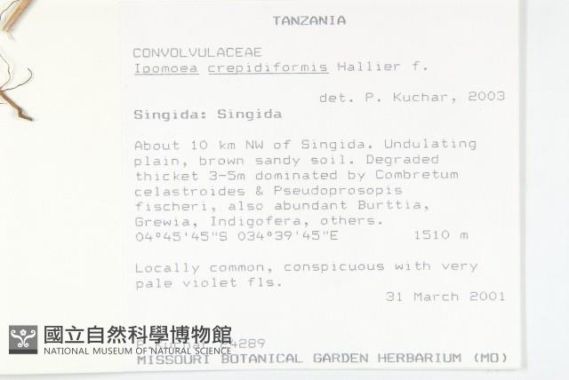 登錄號:S100879藏品圖，第2張