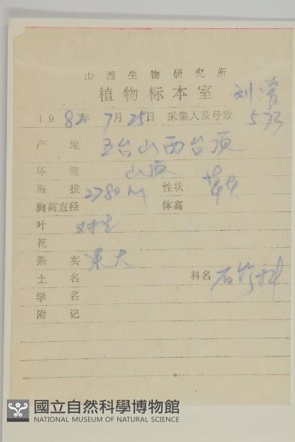 女婁菜藏品圖，第2張