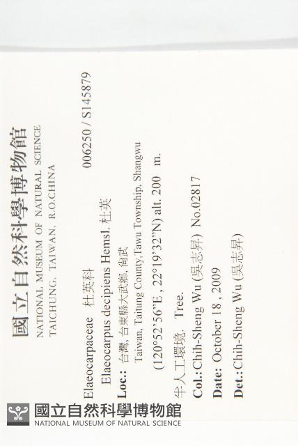 杜英藏品圖，第2張