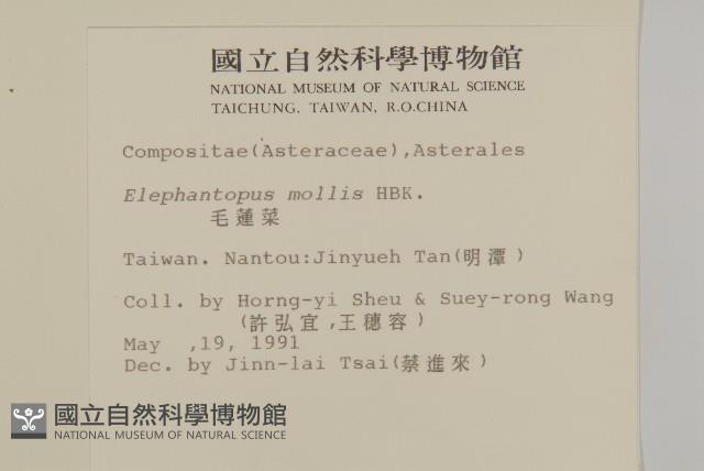 地膽草、毛蓮菜藏品圖，第2張