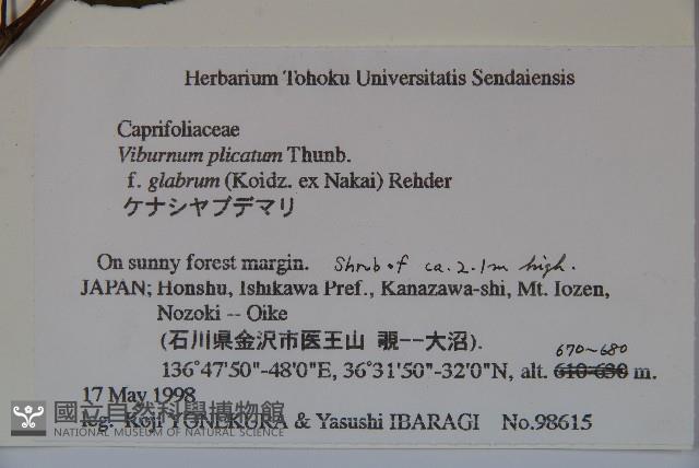 登錄號:S074879藏品圖，第2張