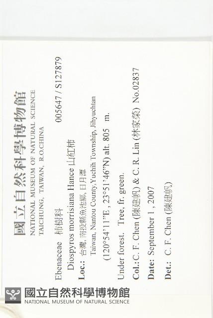 山紅柿藏品圖，第2張