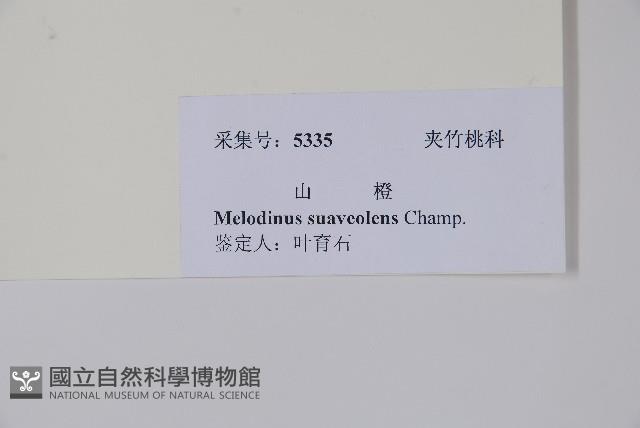 山橙藏品圖，第2張