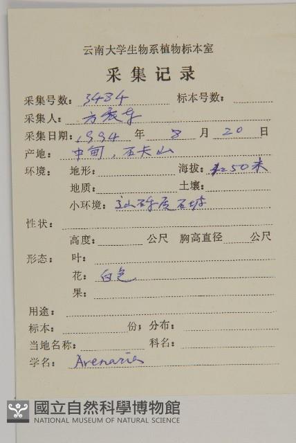 雲南蚤綴藏品圖，第2張