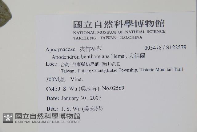 小錦蘭藏品圖，第2張