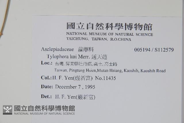 通天蓮藏品圖，第2張