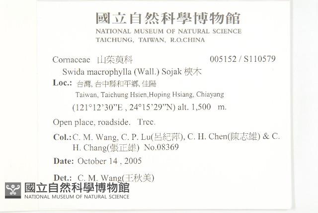 梜木藏品圖，第2張