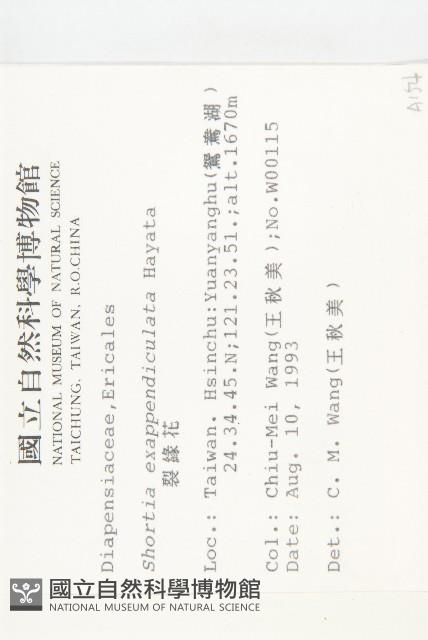 裂緣花藏品圖，第2張