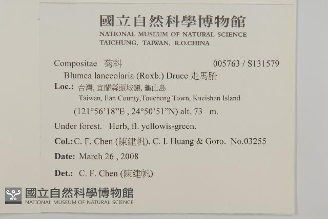 走馬胎藏品圖，第2張