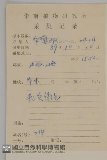 大葉山柳藏品圖，第2張