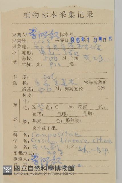 華薊藏品圖，第2張