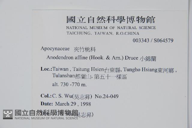 大錦蘭藏品圖，第2張