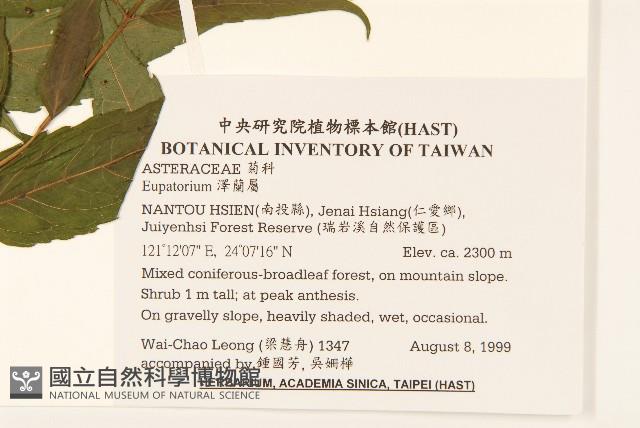 登錄號:S103579藏品圖，第2張