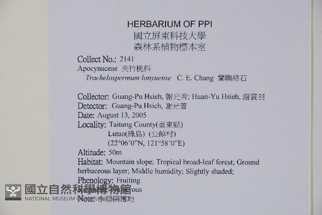 蘭嶼絡石藏品圖，第2張