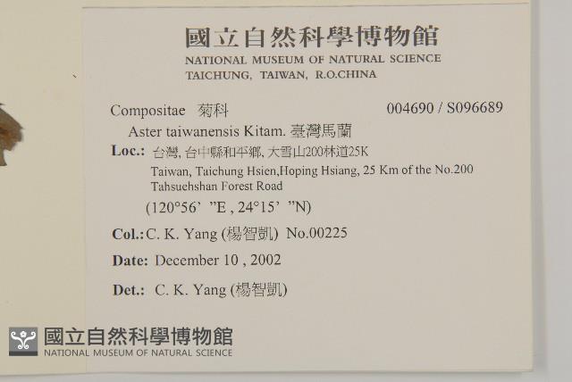 臺灣馬蘭藏品圖，第2張