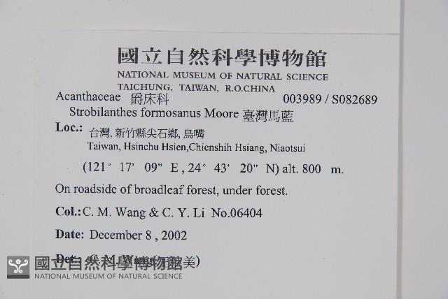 臺灣馬藍藏品圖，第5張