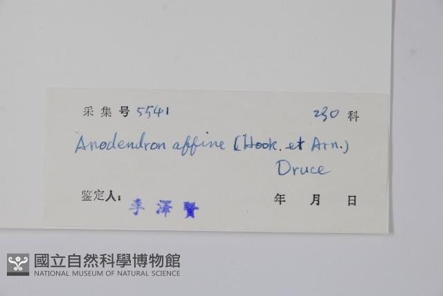 小錦蘭藏品圖，第2張