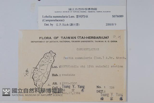 普刺特草藏品圖，第2張