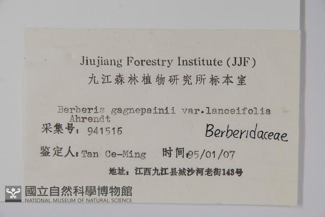 藍果小檗藏品圖，第2張