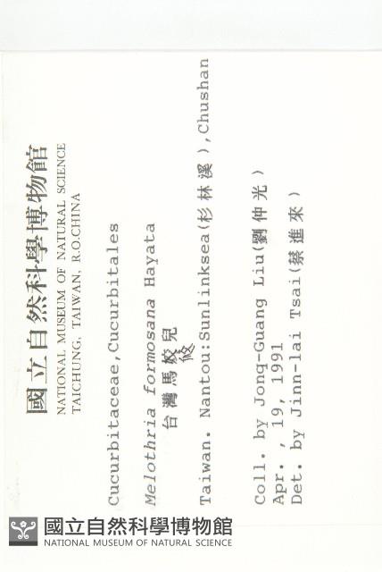 臺灣馬交兒藏品圖，第2張