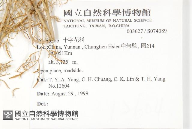 登錄號:S074089藏品圖，第2張