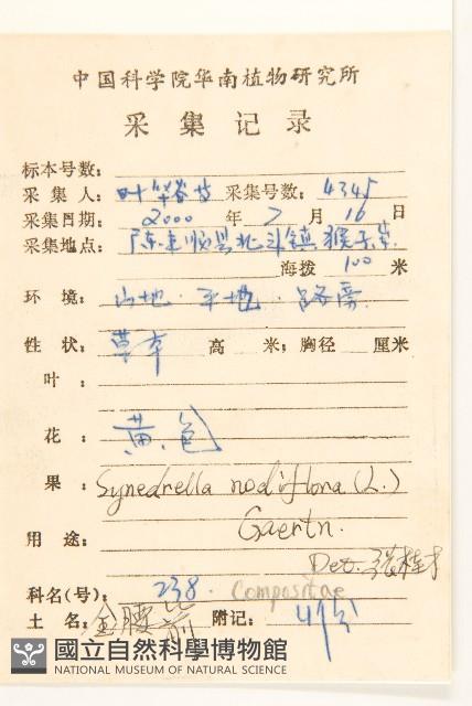 金腰箭藏品圖，第2張