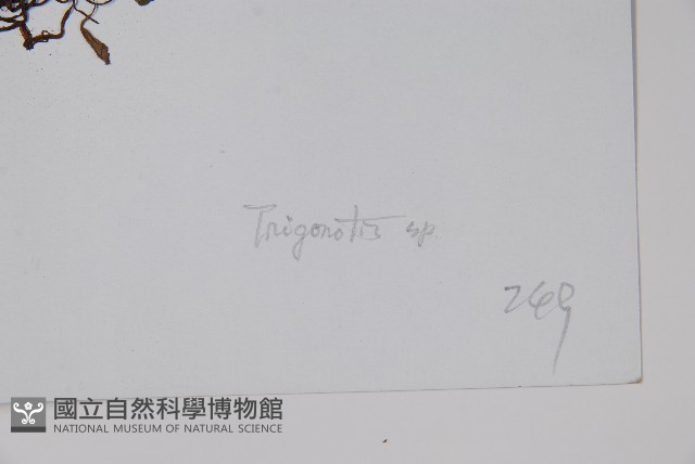 登錄號:S022789藏品圖，第2張