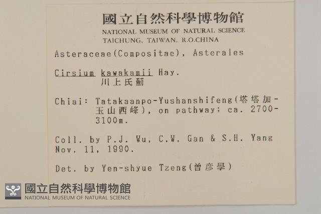 塔塔加薊藏品圖，第2張