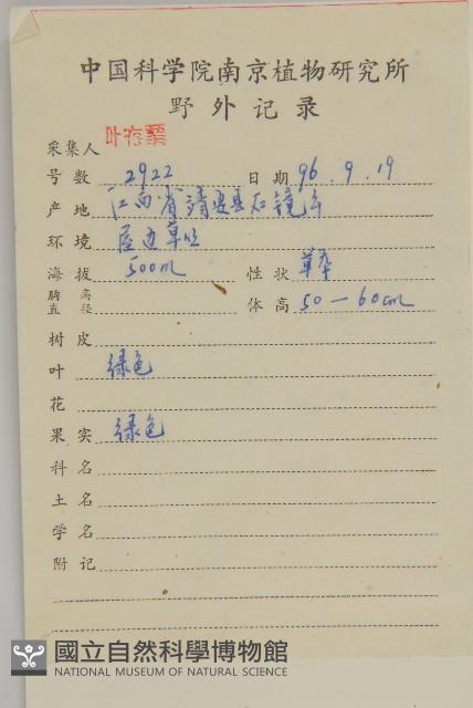 臭杏、土荊芥藏品圖，第2張