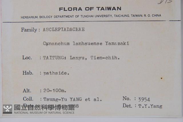 蘭嶼牛皮消、蘭嶼白薇藏品圖，第2張