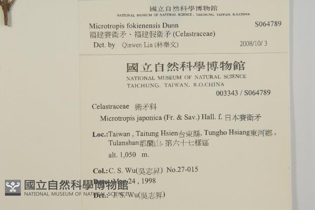 福建賽衛矛、福建假衛矛藏品圖，第2張