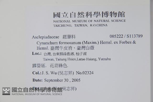 Formosan swallowwort Collection Image, Figure 2, Total 2 Figures