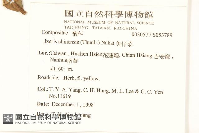 兔仔菜藏品圖，第2張