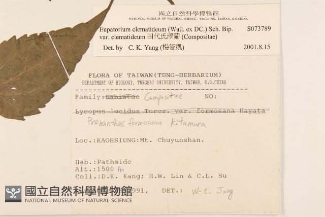 田代氏澤蘭藏品圖，第2張